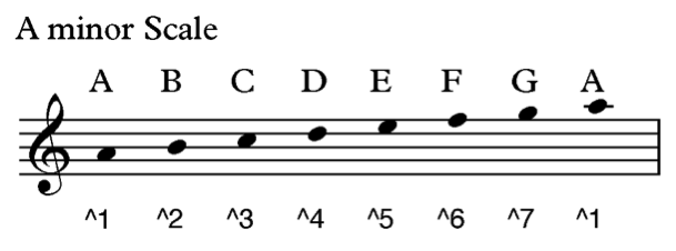 Am scale. A#min Scale. Боксы am Scale. Am Scale для вокала.